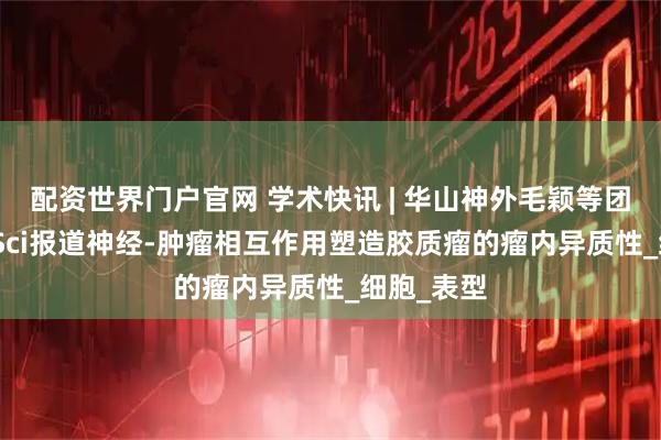 配资世界门户官网 学术快讯 | 华山神外毛颖等团队在AdvSci报道神经-肿瘤相互作用塑造胶质瘤的瘤内异质性_细胞_表型